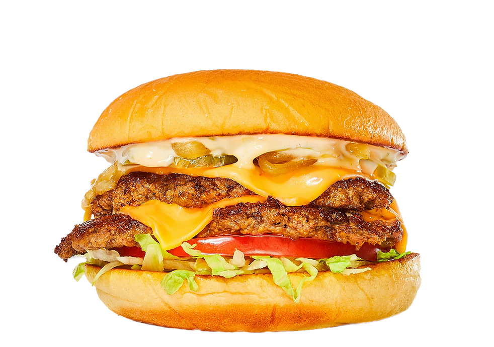 SALT burgers + fries